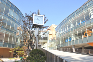 Seoul Japanese School