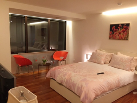 Hangangno 1(il)-ga Efficency Apartment