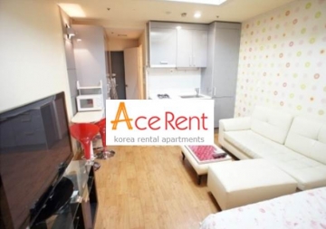 Daechi-dong Efficency Apartment