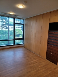 Dogok-dong Efficency Apartment