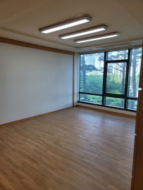 Dogok-dong Efficency Apartment