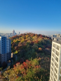 Daeheung-dong Apartment (High-Rise)