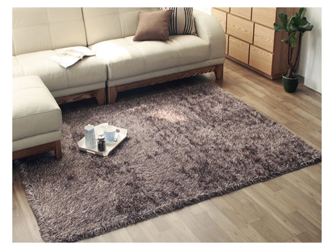 korea furniture rental Rug/Carpet